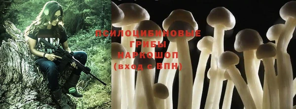 мяу мяу мука Алексеевка